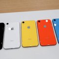 Lietuvoje jau galima užsisakyti „iPhone Xr“