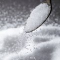 Per pirmąjį karantiną išaugę cukraus pardavimai augino „Nordic Sugar Kėdainių“ pelną