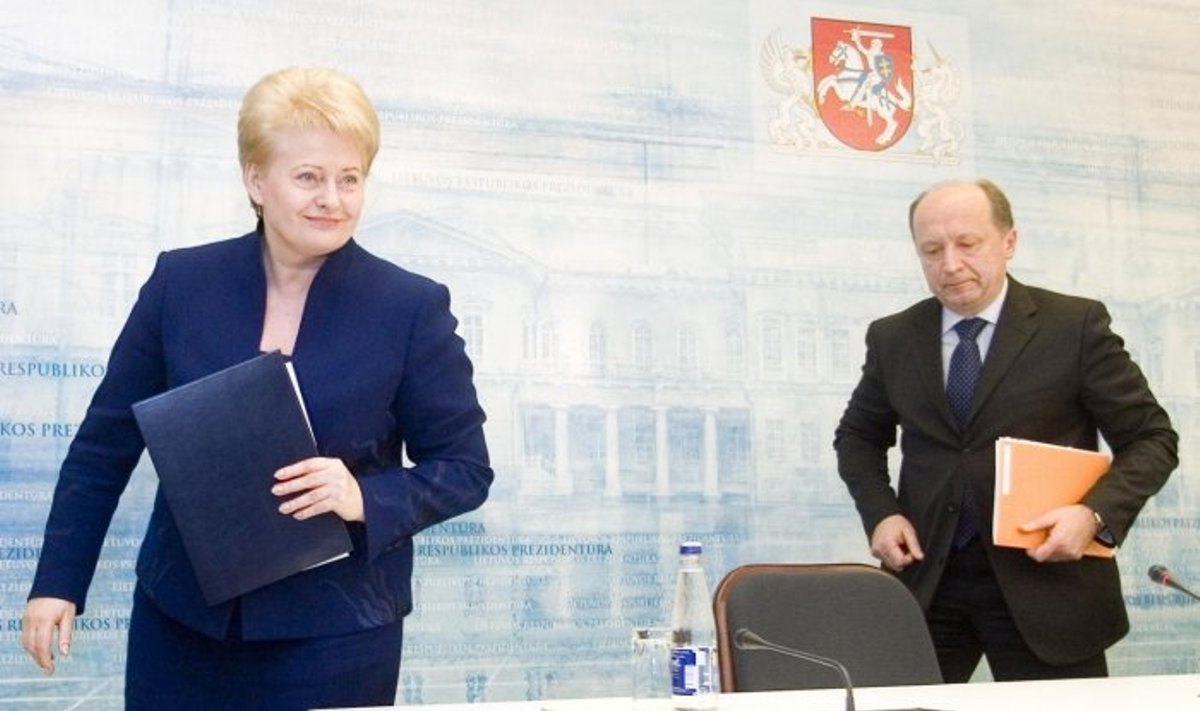 Dalia Grybauskaitė, Andrius Kubilius