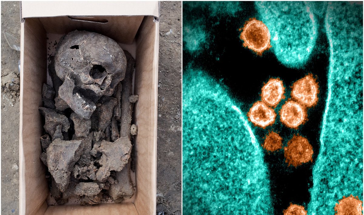 Koronavirusai žmoniją siaubė ir prieš 20 tūkst. metų.
