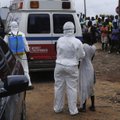 Skaičiai veda į nežinią: Ebolai suvaldyti reikia milijardo