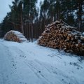 Sulaukė priekaištų dėl miškuose sustabdytų darbų – gresia nepateikti medienos pramonei