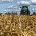 Ūkininkams vasara buvo sunki: nuostoliai šiemet – didesni nei pernai