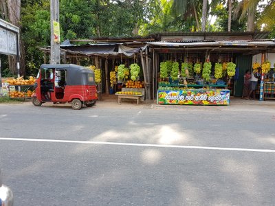 Edvardo Žičkaus atostogos Šri Lankoje