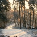 TOP 7 Lietuvos žiemos objektai, kurie kaip magnetas traukia lankytojus