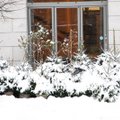 Didžiulis sniego kiekis nusiaubė Lietuvą: svorio jau neatlaikė naujas prekybos centras, atodrėkis gali tapti tikra nelaime