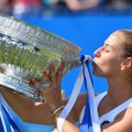 D. Cibulkova laimėjo pirmą karjeroje WTA turnyrą ant žolės