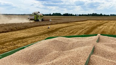 Latvija uždraudė grūdų importą iš Rusijos ir Baltarusijos