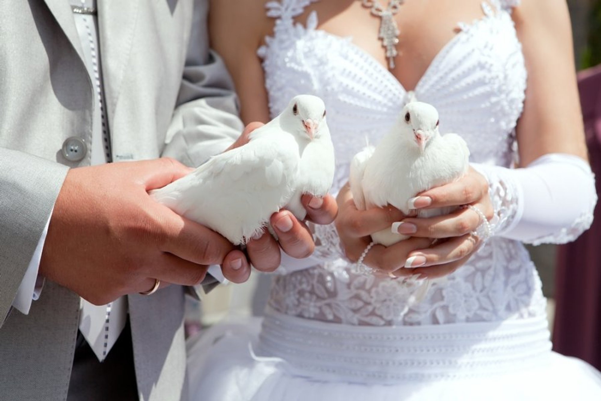 Przywiózł z małżeństwa nieprzyjemną chorobę