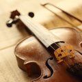Moteris įtariama sudaužiusi buvusio sutuoktinio 54 smuikus