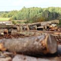 Didins žaliavinės medienos socialinę naudą