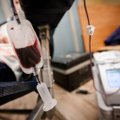 Lietuvos ligoninėse trūksta beveik visų grupių kraujo