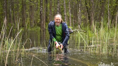 Lyderystės ekspertas: vienas lauke – ne karys