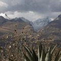 Peru policija ieško gamtos draustinyje dingusios britės turistės