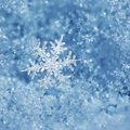 7 įdomūs faktai apie sniegą, kurių galbūt nežinojote