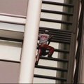 Sidnėjuje suimtas į dar vieną dangoraižį užkopęs žmogus voras