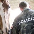 По Вильнюсу гуляла лошадь, о ней позаботилась полиция