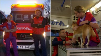 Naujovė Lietuvoje: į gatves išvažiavo pirmasis gyvūnų greitosios pagalbos automobilis