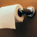Ką žmonės naudojo prieš tualetinio popieriaus išradimą?