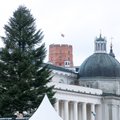 В крупных городах Литвы – елки стоимостью от 1000 до 160 000 евро