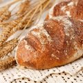 Nors grūdų derlius šiemet geras, gamintojai brangins duoną