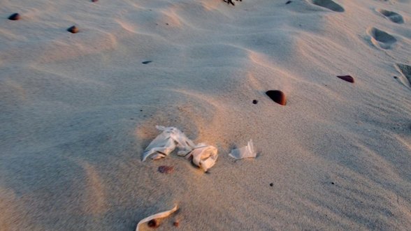 Paplūdimio šiukšlės žaloja poilsiautojų kojas