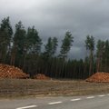 Antikorupcijos komisija: valstybinės medienos pardavimo tvarką reikia keisti
