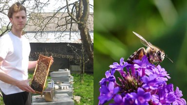 Ekspertas pataria, kaip į sklypą privilioti tūkstančius bičių