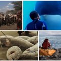 „Nepatogaus kino“ festivalis - filmai apie vandenį, jo stokojančius ir jame gyvenančius