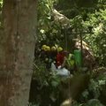 Nufilmuota, kaip Madeiros saloje ant minios nuvirsta medis
