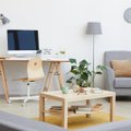 Biuras namuose: 5 svarbiausi dalykai, norint įsirengti patogią erdvę nuotoliniam darbui