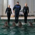Klaipėdos delfinariume 2014-uosius R. Ščiogolevaitė palydės su delfinais