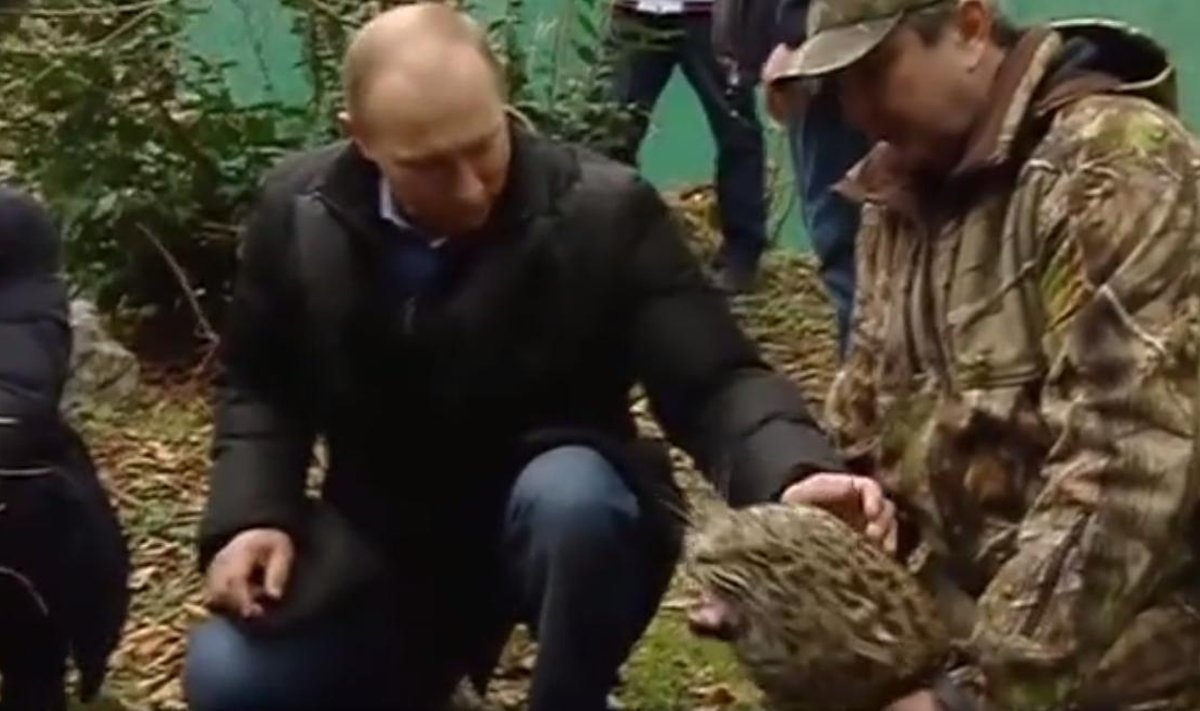 Putin wszedł do klatki z lampartem