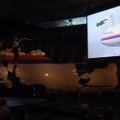 Malaizija nemano, kad Rusija susijusi su MH17 lainerio numušimu
