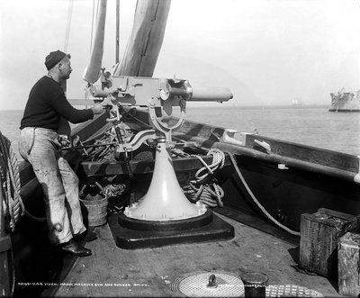 Maximo sistemos kulkosvaidis laive. 1898 metai 