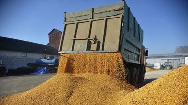 Agriculture Minister: Ukrainian grain will not create problems in Lithuania