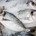 Žuvies gidas: kokią rinktis ir ką lietuviai labiausiai mėgsta