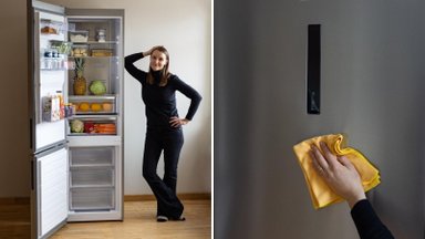 Patarimai, kaip išsirinkti šaldytuvą: į ką atkreipti dėmesį?