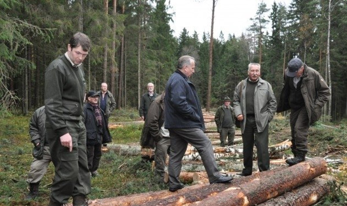 Vokiečiai žavėjosi lietuviškais miškais