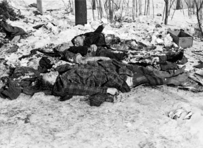 Sovietų surengtų žudynių Metgetuose aukos.