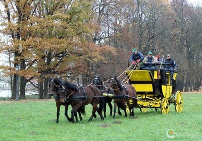 Žemaitukų traukiama karieta