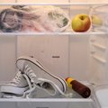 Daiktai, kuriuos būtina tučtuojau dėti į šaldytuvą