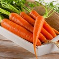 Kuo naudingos morkos ir kiek jų suvartoti