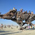 Kas fotomenininką verčia grįžti į beprotišką festivalį „Burning Man“