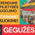 Likus mėnesiui iki referendumo dėl pilietybės išsaugojimo įsibėgėja kampanija „Suapvalinkime Lietuvą“