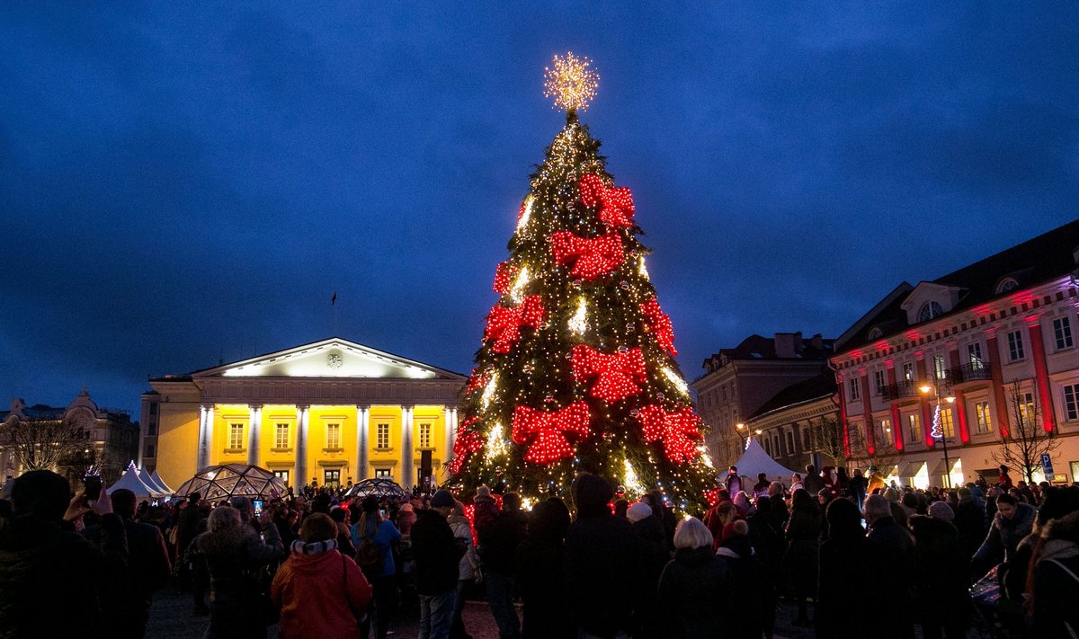 Vilnius' Christmas Tree on the Town Hall Sq