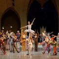 Kaip tampama Snieguolėmis ir Princais: baleto artistai – apie ilgiausiai LNOBT scenoje vaidinamą spektaklį