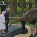 Karalienė Elžbieta II pavaišino dramblį bananu