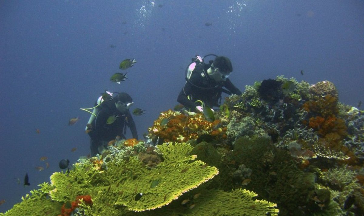 Kuko salos įkūrė didžiausią pasaulyje jūrų draustinį