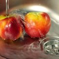 Specialistai: vaisius geriau plauti indų plovikliu arba rinktis ekologiškus